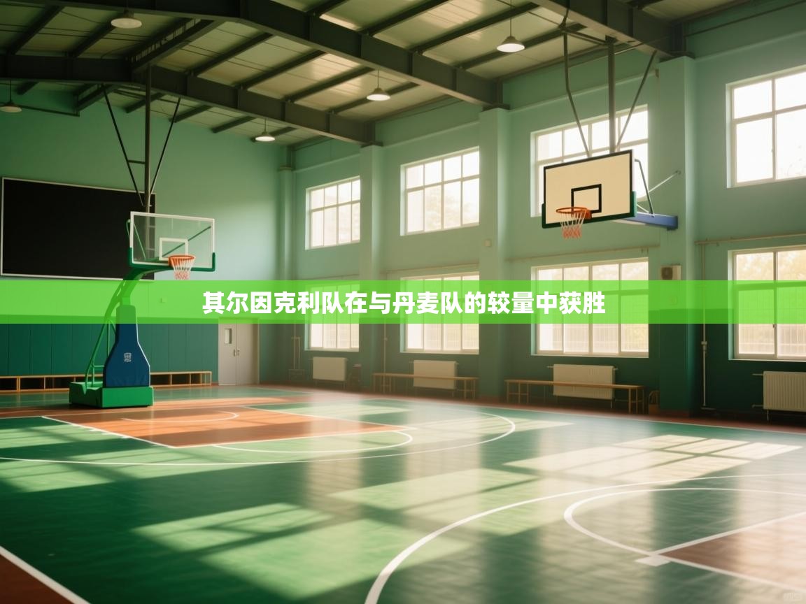 其尔因克利队在与丹麦队的较量中获胜  第2张