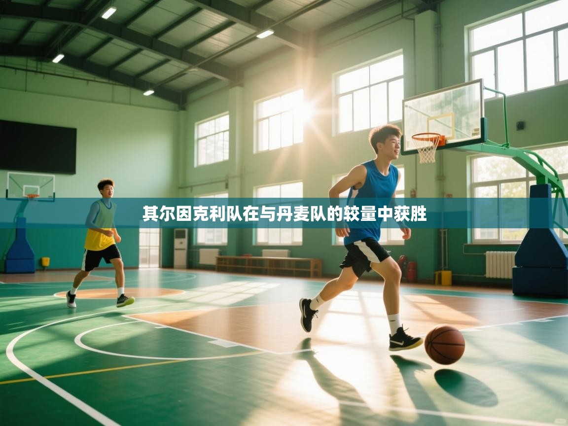 其尔因克利队在与丹麦队的较量中获胜