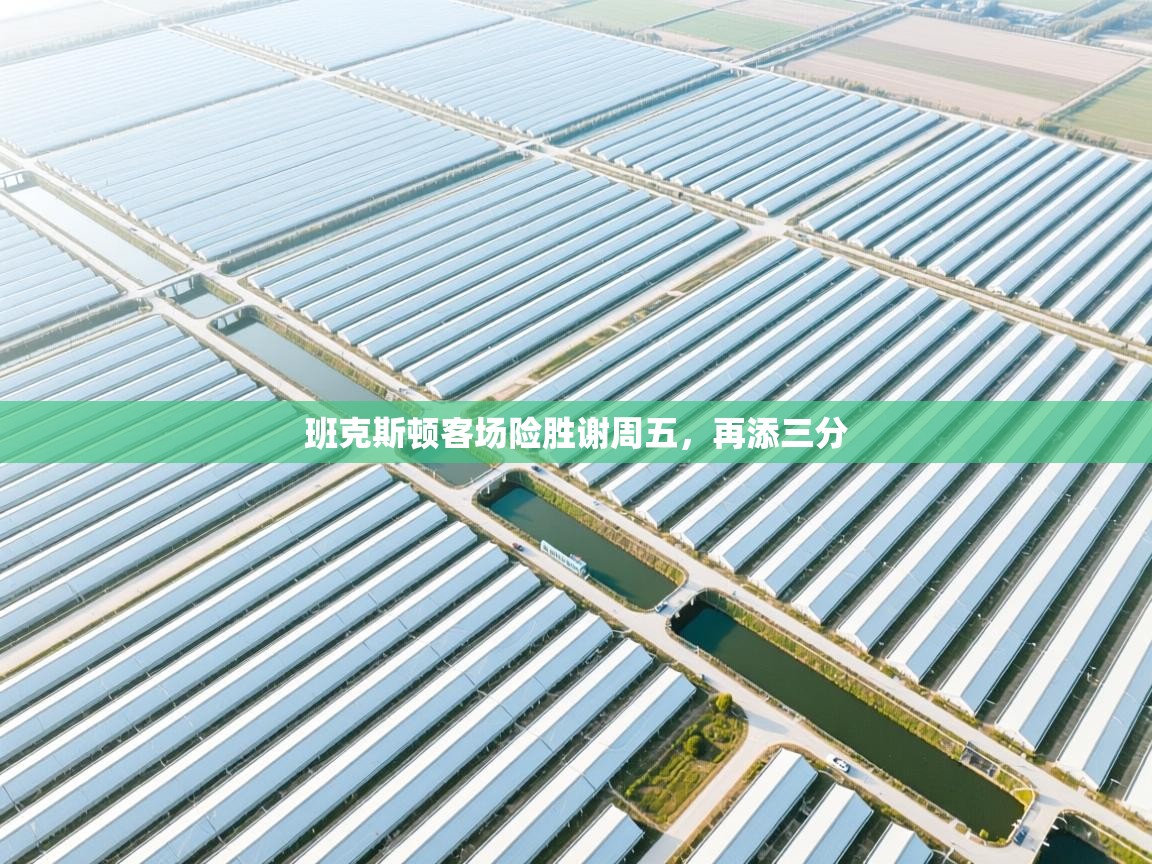 班克斯顿客场险胜谢周五,再添三分 第2张