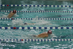 九游官网入口充值-中国游泳运动员世锦赛接力项目表现抢眼，中国游泳接力夺金