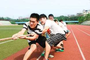 九游娱乐app-体育新闻中心联合高校开展体育内容创新创业竞赛，学校体育创新项目  第3张